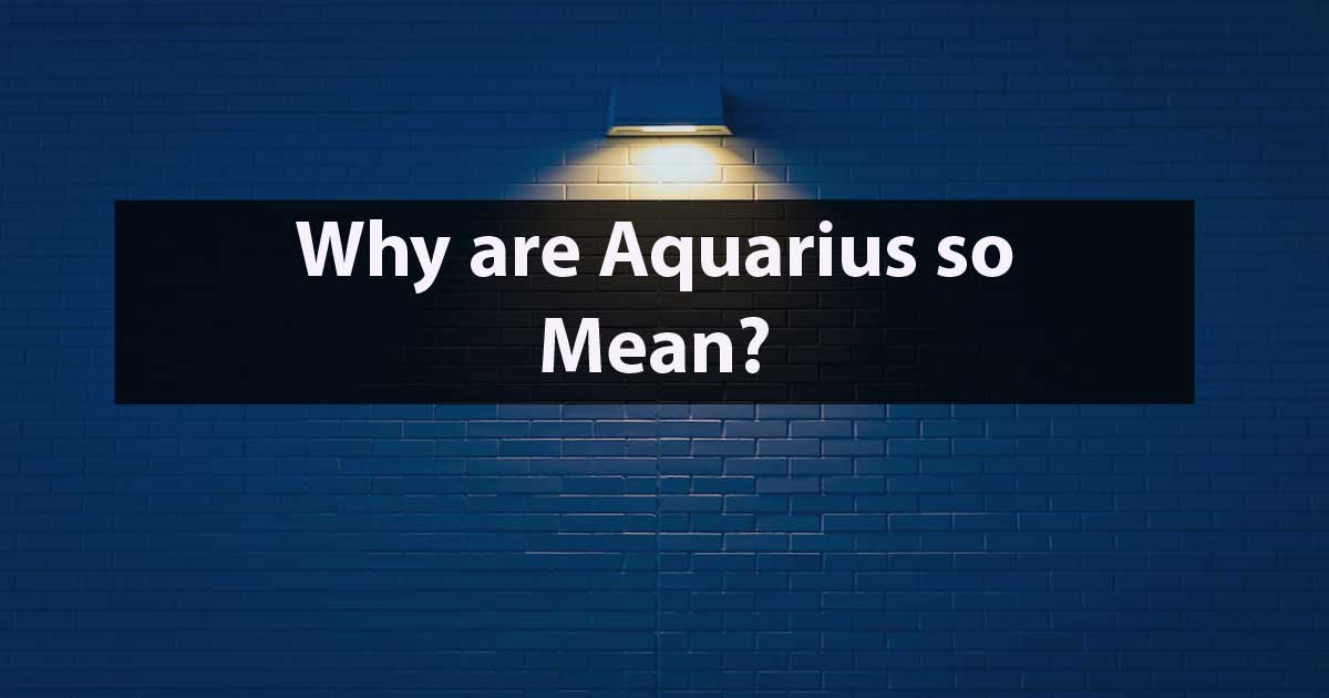 Why are Aquarius so Mean in 2024 (4 Reasons) Capricorn Traits