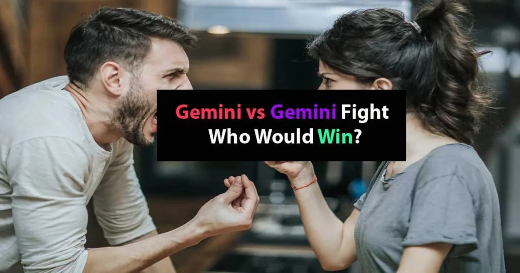 gemini vs gemini fight